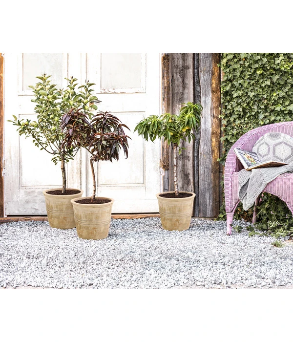 Terrakotta-Topf Grado, Rund, Antik-terrakotta 2 Terrakotta-Topf Grado, Rund, Antik-terrakotta – Bild 2