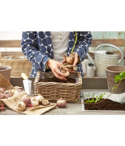 Van Der Leeden Rattan-Pflanzkasten, Graubraun 15 Van Der Leeden Rattan-Pflanzkasten, Graubraun -Gartengerätegeschäft 3692761 3692548 3692506 WE MO 008 RattanPflanzkastenbraunBlumenkasten