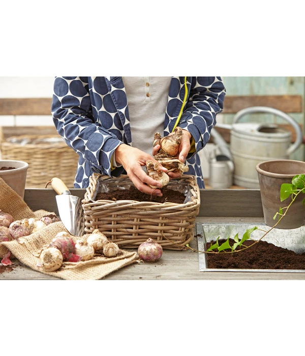 Van Der Leeden Rattan-Pflanzkasten, Graubraun 5 Van Der Leeden Rattan-Pflanzkasten, Graubraun – Bild 5