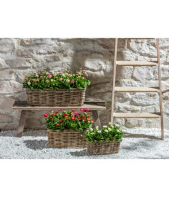 Van Der Leeden Rattan-Pflanzkasten, Graubraun 20 Van Der Leeden Rattan-Pflanzkasten, Graubraun -Gartengerätegeschäft 3692761 3692548 3692506 WE MO 013 RattanPflanzkastenbraun