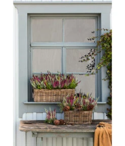 Van Der Leeden Rattan-Pflanzkasten, Graubraun 18 Van Der Leeden Rattan-Pflanzkasten, Graubraun -Gartengerätegeschäft 3692761 3692548 3692506 WE MO 014 RattanPflanzkastenbraun