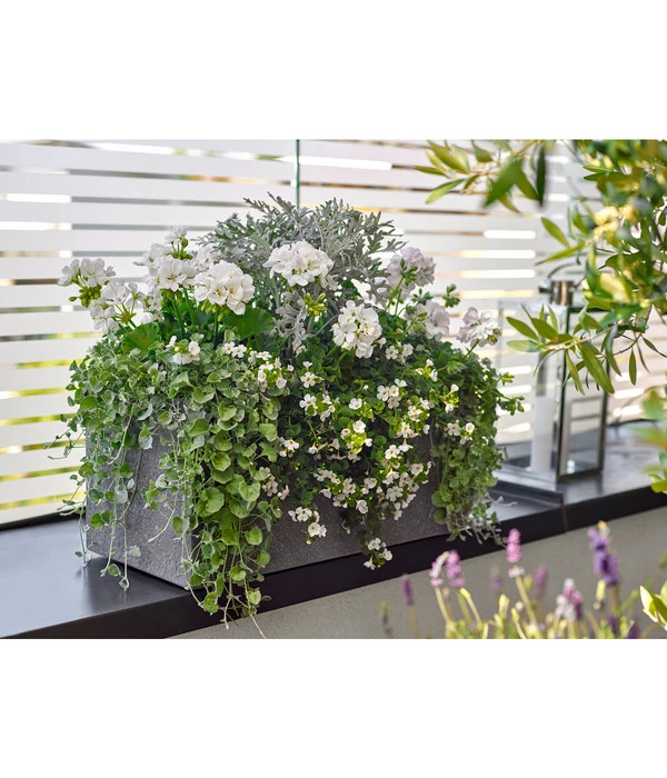 Dehner Leichtbeton-Kasten Rock, Rechteckig, Grau 3 Dehner Leichtbeton-Kasten Rock, Rechteckig, Grau – Bild 3