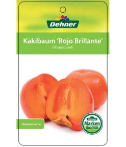 Dehner Kaki 'Rojo Brillante' - Kaki-Pflaume 'Rojo Brillante' -Gartengerätegeschäft 7167414 KakiRojoBrillante Etikett 01
