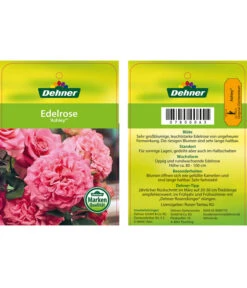 Edelrosen-Mix 'Nostalgie®' 26 Edelrosen-Mix 'Nostalgie®' -Gartengerätegeschäft 7800063 AshleyEdelrose Etikett1