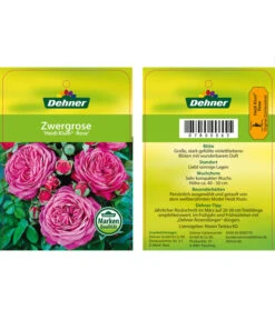 Edelrosen-Mix 'Nostalgie®' 30 Edelrosen-Mix 'Nostalgie®' -Gartengerätegeschäft 7800063 HeidiKlumZwergrose Etikett1