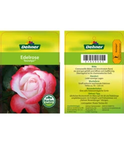 Edelrosen-Mix 'Nostalgie®' 31 Edelrosen-Mix 'Nostalgie®' -Gartengerätegeschäft 7800063 NostalgieEdelrose Etikett1