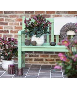 Schneerose 'Ice N' Roses® Red' - Helleborus Gold Collection® -Gartengerätegeschäft 8010969 WE MO 001 HelleborusWeinrotDehnerExpressHerzig