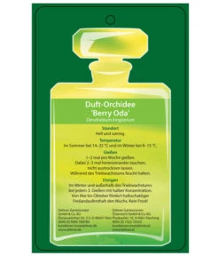 Duft-Traubenorchidee - Dendrobium Kingianum 'Berry' -Gartengerätegeschäft 8250714 DuftorchideeBeryyOdaEtikett2