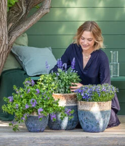 Dehner Keramik-Topf Mystras, Rund, Blau-braun 8 Dehner Keramik-Topf Mystras, Rund, Blau-braun -Gartengerätegeschäft 8811143 WE MO 001 BlaueMauritius