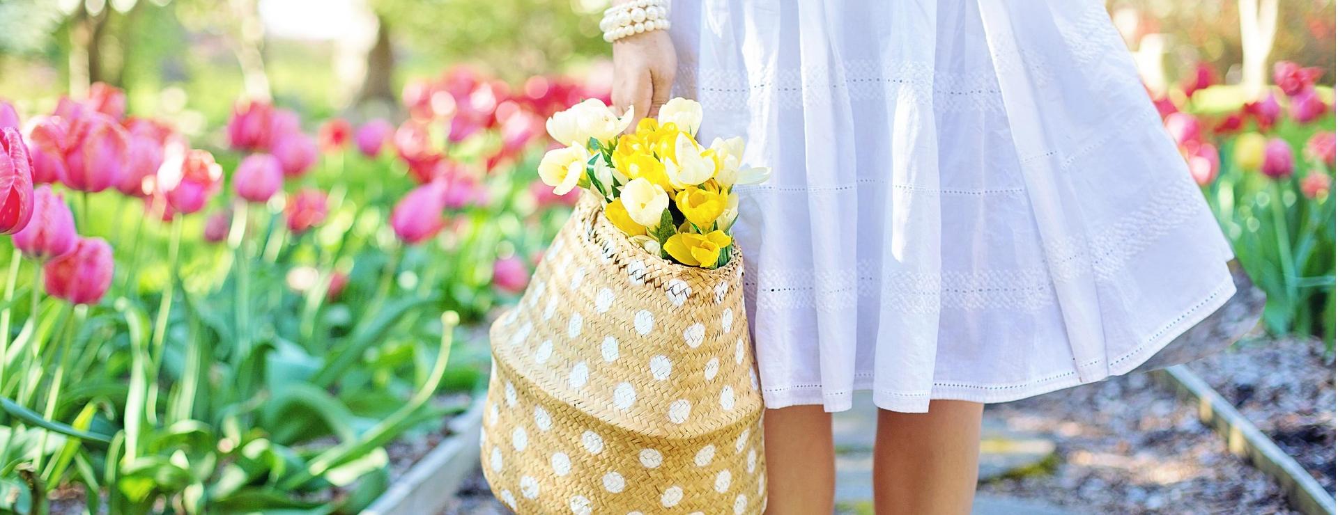 Gartengerätegeschäft -Gartengerätegeschäft spring 2298279 1920